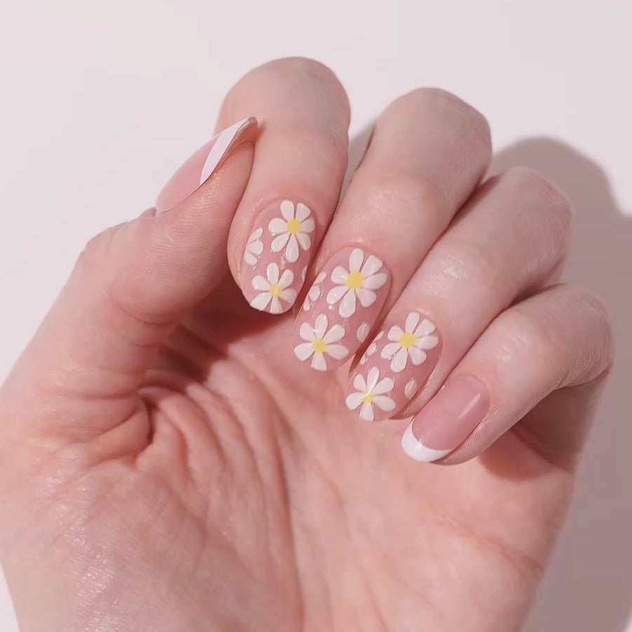 Daisy Daydream - Oval Sustainable Nails - Pre-Order