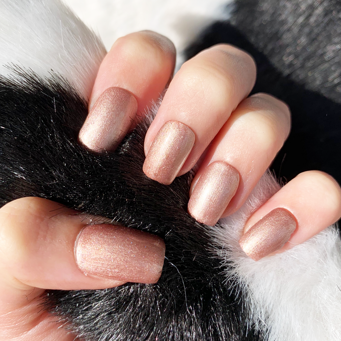 Coffee - Classic Nail Powder